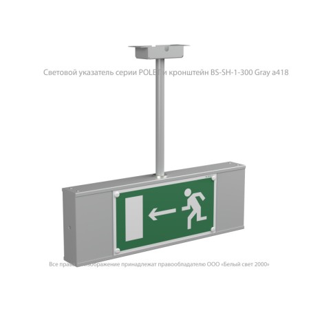 Прибор световой BS-POLET-63-D1-INEXI3 Белый свет a22225