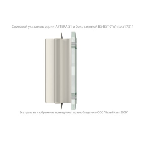 Указатель световой BS-ASTERA-10-S1-24 Белый свет a22195