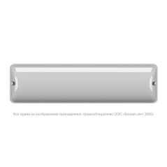 Светильник аварийный BS-METEOR-53-L1-INEXI2 3000К Белый свет a25230