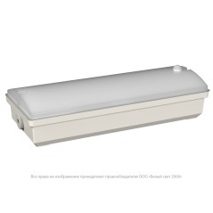 Светильник аварийный BS-METEORIT-51-L1-INEXI2 3000К DD01 Белый Свет a30014