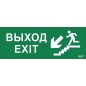 Этикетка самоклеящаяся "Выход/лестница вниз/фигура" ДПА IP20/54 IEK LPC10-1-24-09-VLVNF Этикетка самоклеящаяся "Выход/лестница вниз/фигура" ДПА IP20/54 IEK LPC10-1-24-09-VLVNF