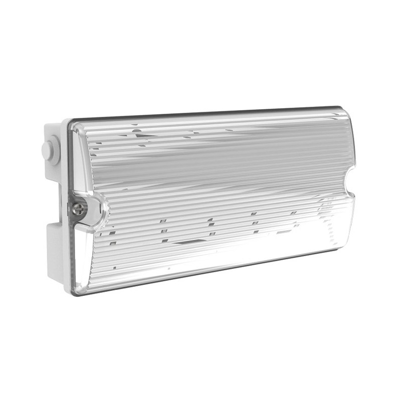 Светильник Compact Advanced 2Вт IP65 3ч 12-24В AC/DC аварийно-эвакуационный VARTON V1-EM-00432-01V24-6500265