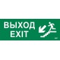 Этикетка самоклеящаяся 280х100мм "Выход/лестница вниз/фигура" IEK LPC10-1-28-10-VLVNF