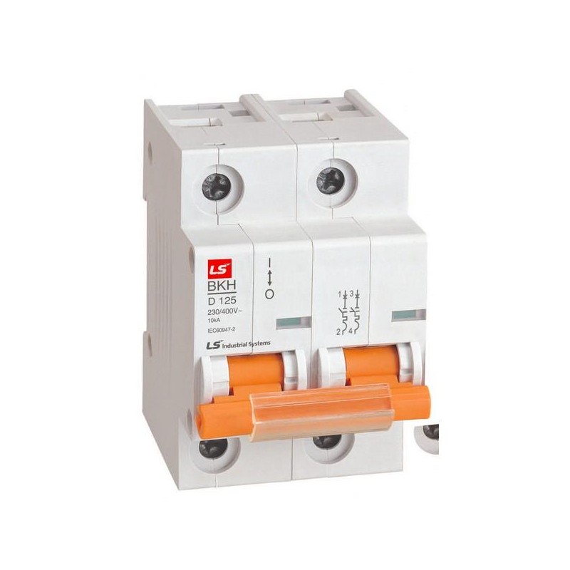 Выключатель автоматический модульный 2п C 80А 10кА BKH LS Electric 061205978B Выключатель автоматический модульный 2п C 80А 10кА BKH LS Electric 061205978B