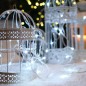 Гирлянда светодиодная "Твинкл Лайт" 6м 40LED бел. 5.1Вт IP20 провод ПВХ прозр. Neon-Night 303-175 Гирлянда светодиодная "Твинкл Лайт" 6м 40LED бел. 5.1Вт IP20 провод ПВХ прозр. Neon-Night 303-175