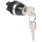 Тумблер с ключом 2п 90град. гол. Osmoz Leg 023955 Тумблер с ключом 2п 90град. гол. Osmoz Leg 023955