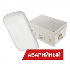 Светильник светодиодный "Луна" Eco Box 15/1800 1800лм 15Вт 4000К IP65 80Ra Кп«5 аварийный Diora DLEcoB15-A-4K-A