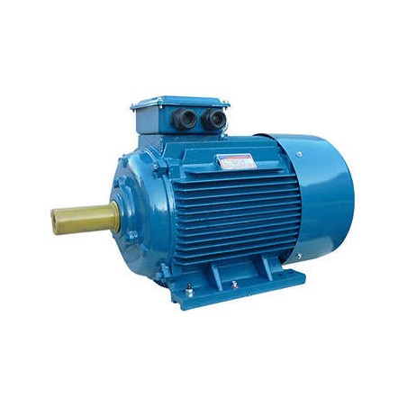 Электродвигатель 5АИ 200 L2 45/3000 IM1001 Элком 01.01.213642