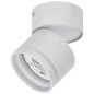 Светильник 4034 настенно-потолочный GX53 бел. IEK LT-USB0-4034-GX53-1-K01 Светильник 4034 настенно-потолочный GX53 бел. IEK LT-USB0-4034-GX53-1-K01