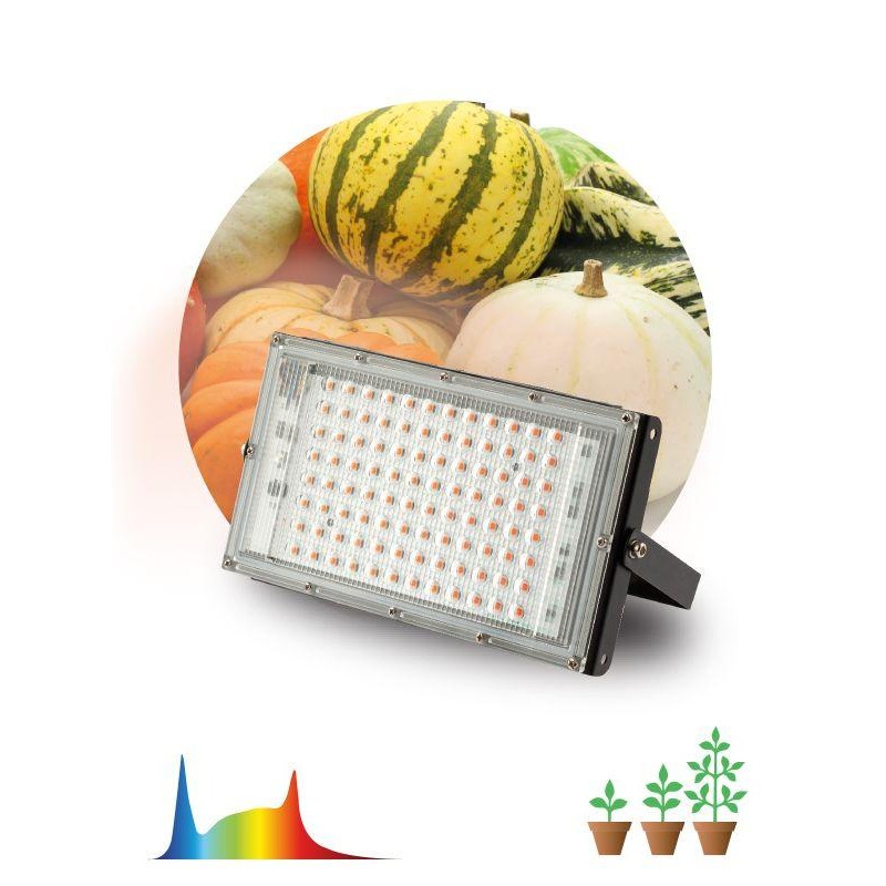 Прожектор светодиодный FITO-80W-Ra90-LED-Y 80Вт для растений полноспектральный IP65 Эра Б0057284 Прожектор светодиодный FITO-80W-Ra90-LED-Y 80Вт для растений полноспектральный IP65 Эра Б0057284