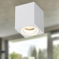 Светильник OL46 WH MR16 GU10 IP20 настенно-потолочн. спот бел. Эра Б0059797