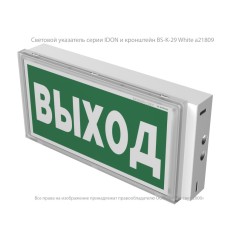 Указатель световой BS-IDON-71-S1-INEXI2 ICE20 Белый свет a24839