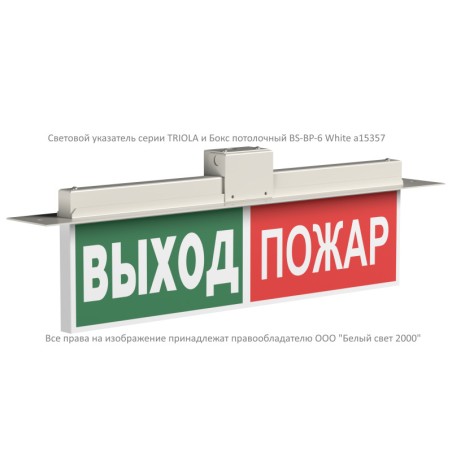 Указатель световой BS-TRIOLA-73-S1-INEXI2 Белый свет a26046