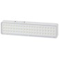 Светильник светодиодный DBA-103-0-20 60LED 5ч IP20 аварийный непостоянный Эра Б0044396