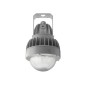 Светильник светодиодный ZENITH LED 30 D270 G Ex G2 СТ 1226000730