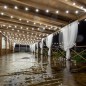 Кабель двухжильный Белт Лайт (уп.100м) Neon-Night 331-210 Кабель двухжильный Белт Лайт (уп.100м) Neon-Night 331-210