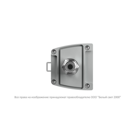 Светильник аварийный BS-AMON-10-L4-24 V04 3000К Белый свет a29206