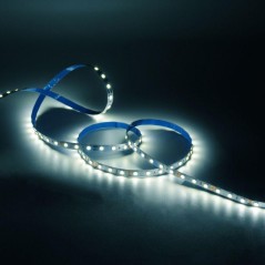 Лента светодиодная Basic 5050/60-SMD 8Вт/м 4000К нейтр. бел. IP20 900лм/м 12В 10мм (уп.2м) GAUSS BT021
