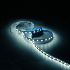 Лента светодиодная Basic 5050/60-SMD 8Вт/м 4000К нейтр. бел. IP20 900лм/м 12В 10мм (уп.2м) GAUSS BT021