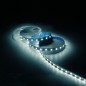 Лента светодиодная Basic 5050/60-SMD 8Вт/м 4000К нейтр. бел. IP20 900лм/м 12В 10мм (уп.2м) GAUSS BT021 Лента светодиодная Basic 5050/60-SMD 8Вт/м 4000К нейтр. бел. IP20 900лм/м 12В 10мм (уп.2м) GAUSS BT021