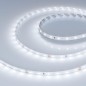 Лента светодиодная RT-A60-8mm 24V Cool 8К 4.8Вт/м IP20 2835 открытый (уп.5м) Arlight 016147(2) Лента светодиодная RT-A60-8mm 24V Cool 8К 4.8Вт/м IP20 2835 открытый (уп.5м) Arlight 016147(2)