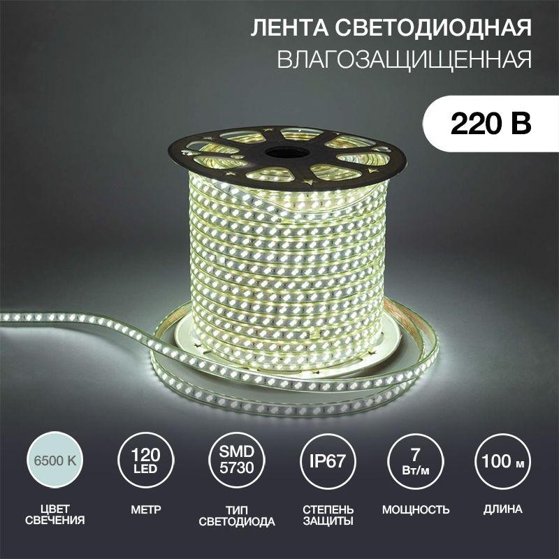 Лента светодиодная SMD5730 6.5x17мм 120LED/м 220В IP67 бел. (уп.100м) Neon-Night 142-703 Лента светодиодная SMD5730 6.5x17мм 120LED/м 220В IP67 бел. (уп.100м) Neon-Night 142-703
