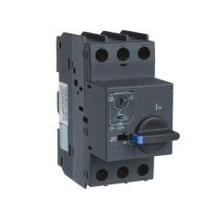 Выключатель автоматический для защиты двигателя NS8-32X E 2.5-4А (тип А) с поворотной рукояткой CHINT 570067