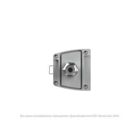 Светильник аварийный BS-AMON-51-L1-INEXI3 V02 4000К Белый Свет a29059