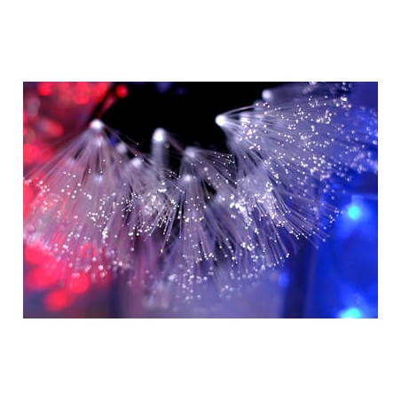Гирлянда "Кисти" LD048C-W-FB(24) LED бел. 8 реж. IP20 5м SHLights 4607144116787
