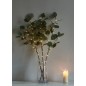 Ветвь эвкалипта иммитация 62см 32LED тепл. бел. IP44 6ч таймер кабель корич. 50см КОСМОС KOC_INT-B131 Ветвь эвкалипта иммитация 62см 32LED тепл. бел. IP44 6ч таймер кабель корич. 50см КОСМОС KOC_INT-B131