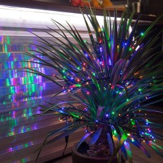 Гирлянда светодиодная "Кластер LED" 3м 288LED мультиколор 14Вт 220-240В IP20 провод ПВХ темн. зел. Neon-Night 303-629