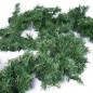 Гирлянда "Еловый шлейф искуственный" 2.7м 80LED тепл. бел. 5Вт IP44 Neon-Night 307-116