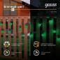 Гирлянда светодиодная Белт Лайт Holiday 10 ламп 7.7м зел. IP44 GAUSS HL061 Гирлянда светодиодная Белт Лайт Holiday 10 ламп 7.7м зел. IP44 GAUSS HL061