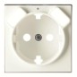 Накладка для розетки SCHUKO с 2хUSB ЗУ арт.8188.3 SKY бел. ABB 2CLA858830A1101 Накладка для розетки SCHUKO с 2хUSB ЗУ арт.8188.3 SKY бел. ABB 2CLA858830A1101