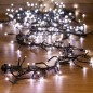 Гирлянда светодиодная "Кластер LED" 3м 288LED бел. 14Вт 220-240В IP20 провод ПВХ темн. зел. Neon-Night 303-625 Гирлянда светодиодная "Кластер LED" 3м 288LED бел. 14Вт 220-240В IP20 провод ПВХ темн. зел. Neon-Night 303-625