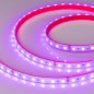 Лента светодиодная герметичная RTW-PS-B60-12mm 24V RGB 14.4Вт/м IP67 5060 14.4Вт/м IP67 (уп.50м) Arlight 024587(2) Лента светодиодная герметичная RTW-PS-B60-12mm 24V RGB 14.4Вт/м IP67 5060 14.4Вт/м IP67 (уп.50м) Arlight 024587(2)