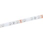 Лента светодиодная LED LSR-2835R60-4.8-IP65-12В (уп.5м) IEK LSR1-6-060-65-3-05 Лента светодиодная LED LSR-2835R60-4.8-IP65-12В (уп.5м) IEK LSR1-6-060-65-3-05