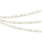 Лента светодиодная FITOLUX-SE-A144-10mm 24V Day4000-Red 14Вт/м IP65 2835 14Вт/м IP65 (уп.5м) Arlight 038170