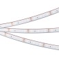 Лента светодиодная RTW-PFS-A120-11mm 24V Blue 2835 9.6Вт/м IP68 герметичная (уп.5м) Arlight 033787 Лента светодиодная RTW-PFS-A120-11mm 24V Blue 2835 9.6Вт/м IP68 герметичная (уп.5м) Arlight 033787