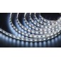 Лента светодиодная 71 764 NLS-3528CW120-9.6-IP20-12V R5 9.6Вт/м (уп.5м) Navigator 71764