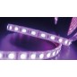 Лента светодиодная стандарт 5050 60LED/м 14.4Вт/м RGB 12В IP68 со скотчем 3М (уп.5м) SWG Standard 00-00009268 Лента светодиодная стандарт 5050 60LED/м 14.4Вт/м RGB 12В IP68 со скотчем 3М (уп.5м) SWG Standard 00-00009268