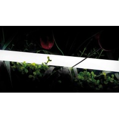 Лента светодиодная неоновая 2835 360град. LED/м 16 Вт/м 24В IP66 тепл. бел. (уп.5м) SWG PRO 00-00013283