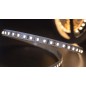 Лента светодиодная стандарт 2835 120LED/м 12Вт/м 12В IP20 со скотчем 3М тепл. бел. (уп.5м) SWG Standard 00-00009237 Лента светодиодная стандарт 2835 120LED/м 12Вт/м 12В IP20 со скотчем 3М тепл. бел. (уп.5м) SWG Standard 00-00009237