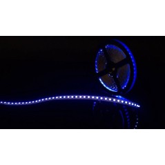 Лента светодиодная стандарт 3528 120LED/м 9.6Вт/м син. 12В IP20 (уп.5м) SWG Standard 00-00009466