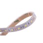 Лента светодиодная стандарт 5050 60LED/м 14.4Вт/м холод. бел. 12В IP68 (уп.5м) SWG Standard 00-00001846