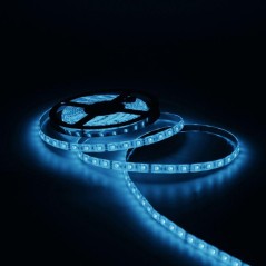 Лента светодиодная Black 5050/60-SMD 14.4Вт/м 6500К холод. бел. IP66 660лм/м 12В (блист.5м) GAUSS 311000314