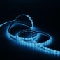 Лента светодиодная Black 5050/60-SMD 14.4Вт/м 6500К холод. бел. IP66 660лм/м 12В (блист.5м) GAUSS 311000314