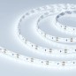 Лента светодиодная герметичная RTW-SE-A120-8mm 12V Cool 10К 9.6Вт/м IP65 2835 9.6Вт/м IP65 (уп.5м) Arlight 016838(2)