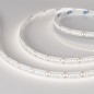 Лента RT-A240-10mm 24В Day5000 (19.2Вт/м IP20 3528) (открытый) (уп.5м) Arlight 040543 Лента RT-A240-10mm 24В Day5000 (19.2Вт/м IP20 3528) (открытый) (уп.5м) Arlight 040543