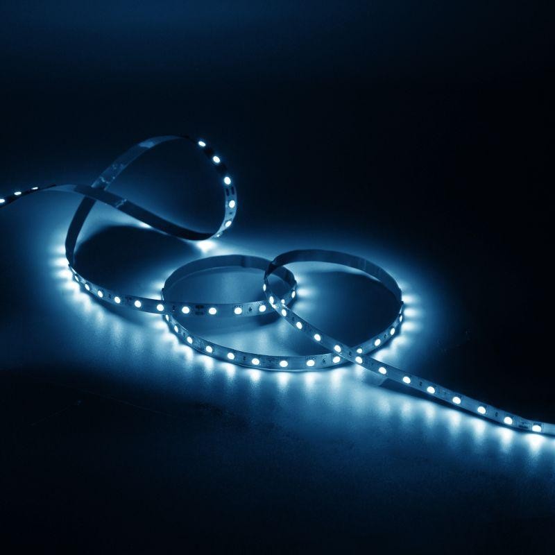 Лента светодиодная Black 2835/120-SMD 9.6Вт/м 6500К холод. бел. IP20 420лм/м 12В (блист.5м) GAUSS 312000310